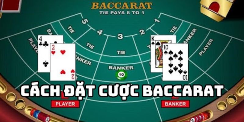 Các bước chuẩn xác tham gia Baccarat 77win